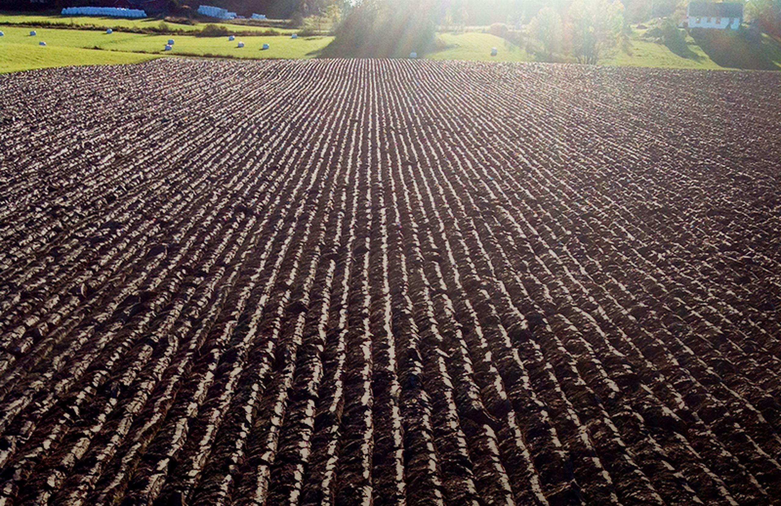 Agricultural parts